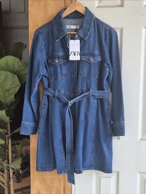 Zara The Betty Dress